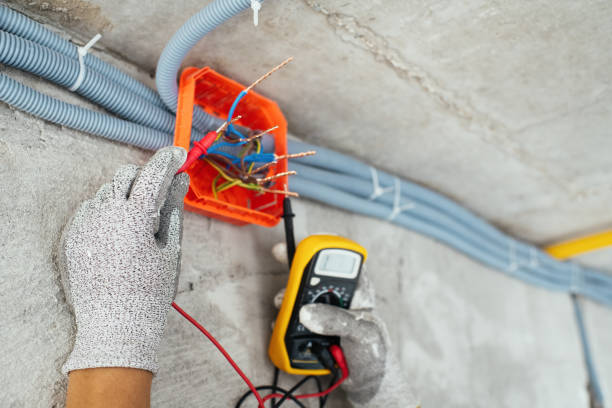 Best Electric Panel Repair  in Maple Heights, OH